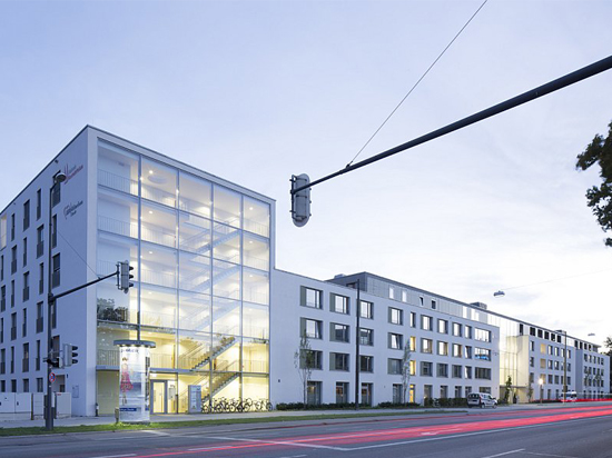 portfolio single project